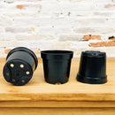 Kit 20 Vasos Pretos para Suculentas e Plantas Decorativas
