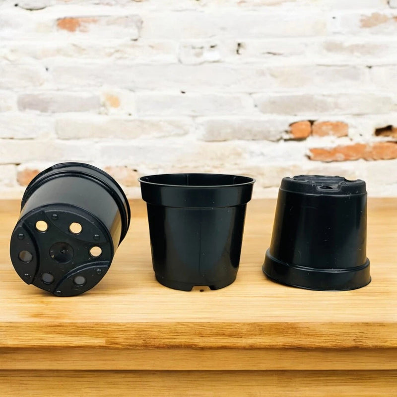 Kit 20 Vasos Pretos para Suculentas e Plantas Decorativas